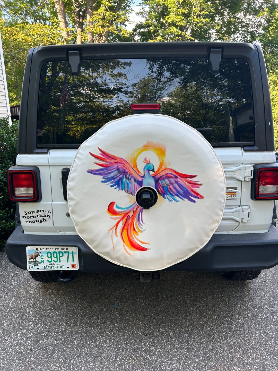 Customer photo review of Custom Spare Tire Cover for Jeep, RV, Bronco Camper, Trailer, & More