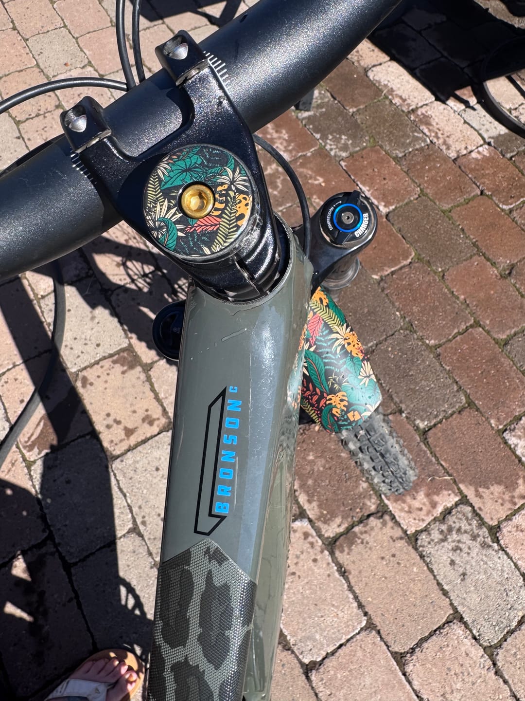 Customer photo review of Botanic Revival Fender