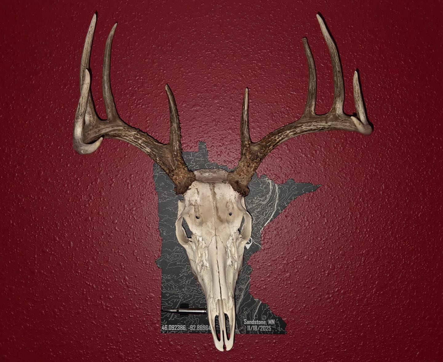 Customer photo review of Medium Game Plaque - Selections