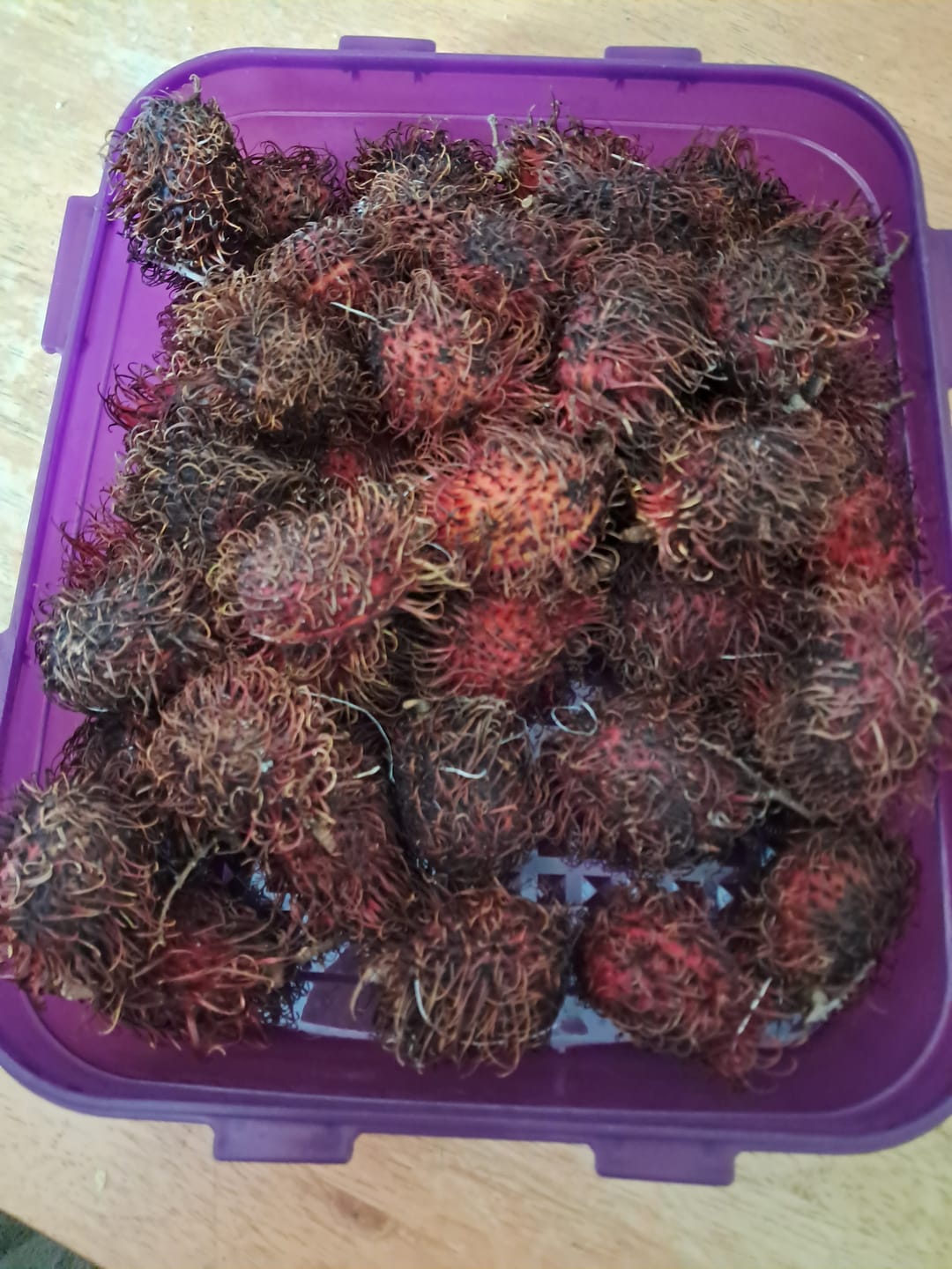 Customer photo review of Rambutan Aktionspreis %