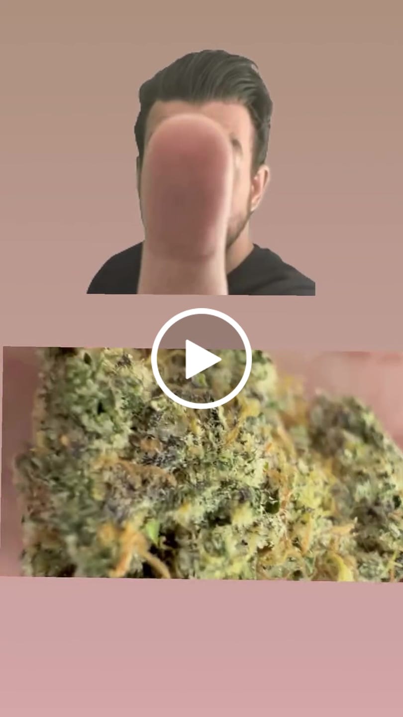 Customer video review of Biscotti THCA Flower (Premium)