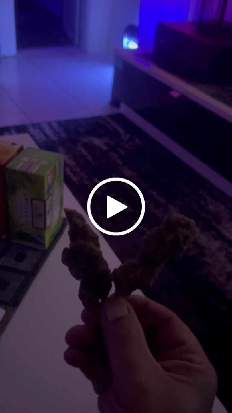 Customer video review of Northern Lights 9H-HHC