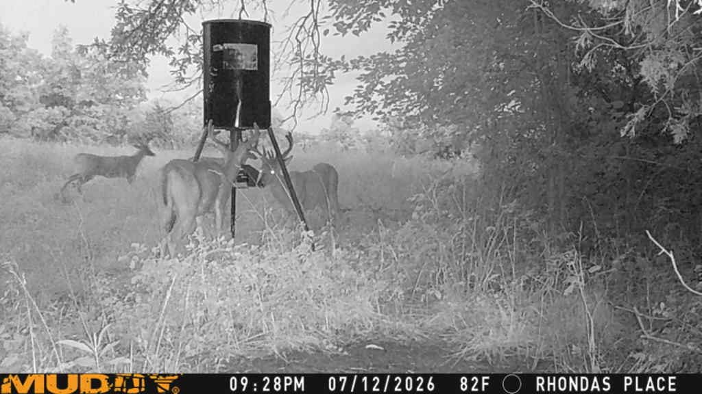 Customer photo review of Antler IV Mineral Attractant