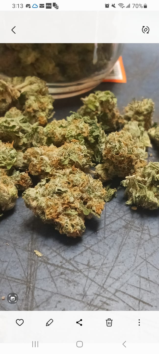 Customer photo review of OG Kush THCA Flower (Budget)