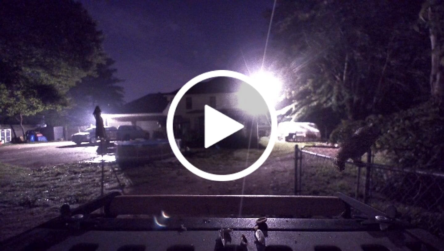 Customer video review of Birdfy Feeder Metal 2 4K - Smart Bird Feeder with Camera