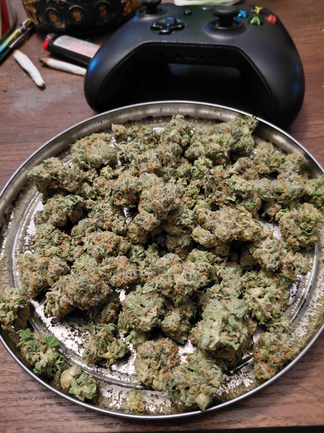 Customer photo review of OG Kush THCA Flower (Budget)