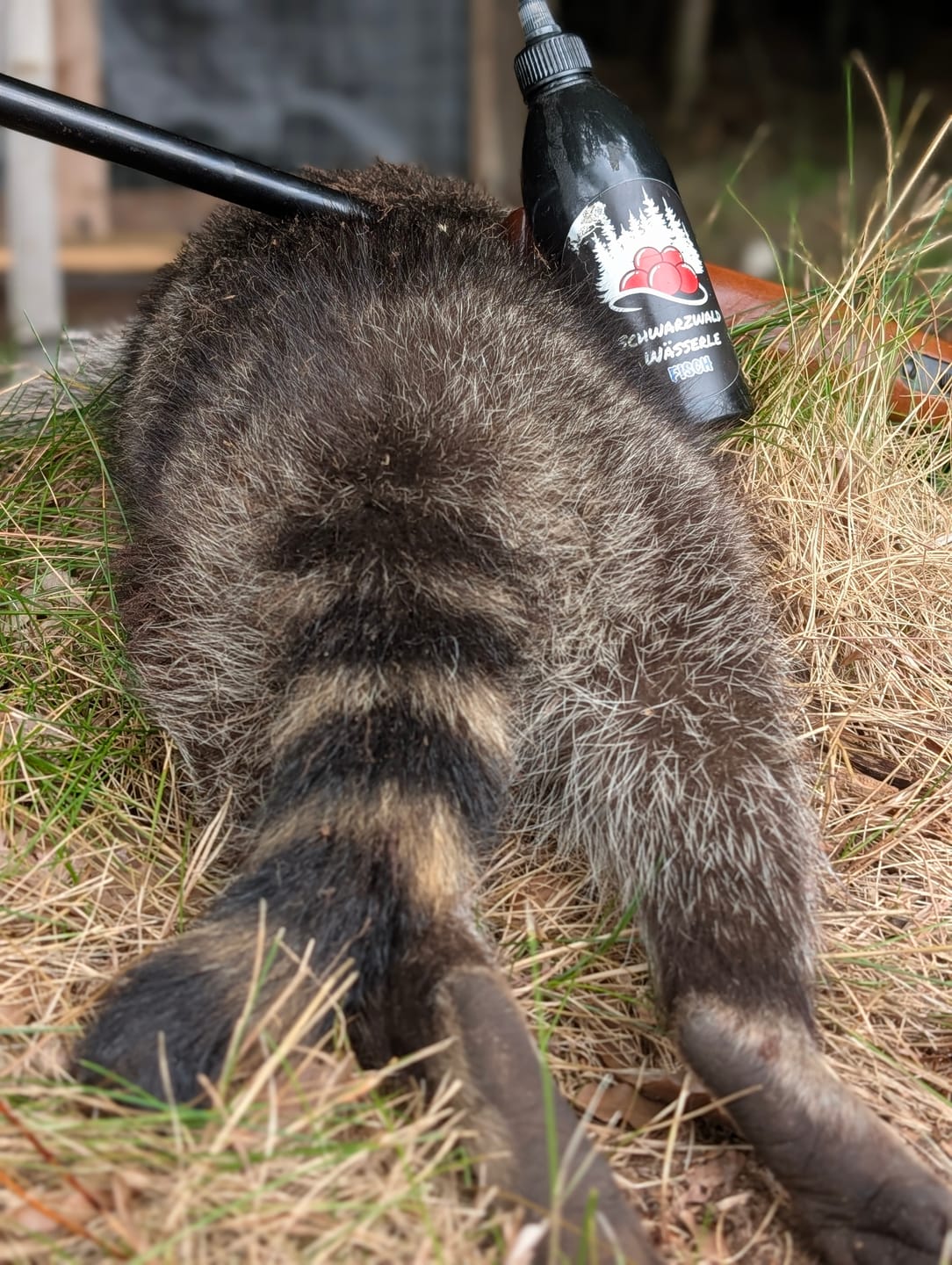 Customer photo review of Fisch Lockmittel - Schwarzwild und Raubwild