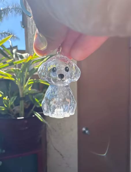 Customer photo review of Llavero Recuerdo de tu Mascota