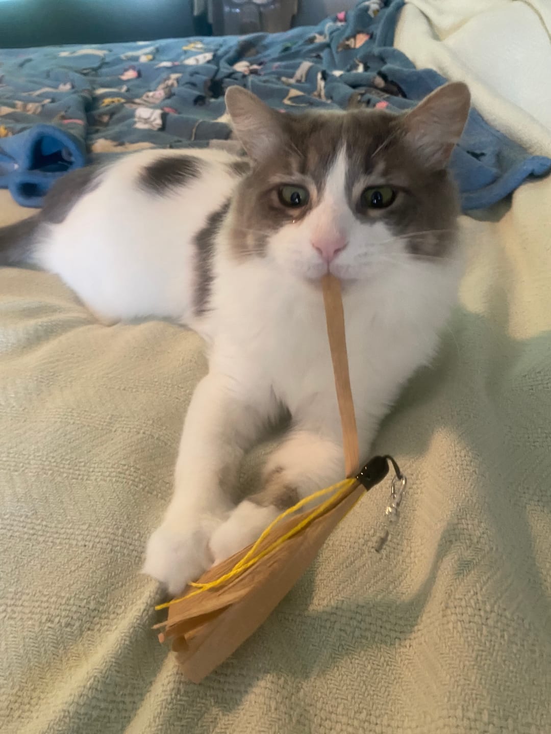 Customer photo review of Cuttlefish - Wand Attachment