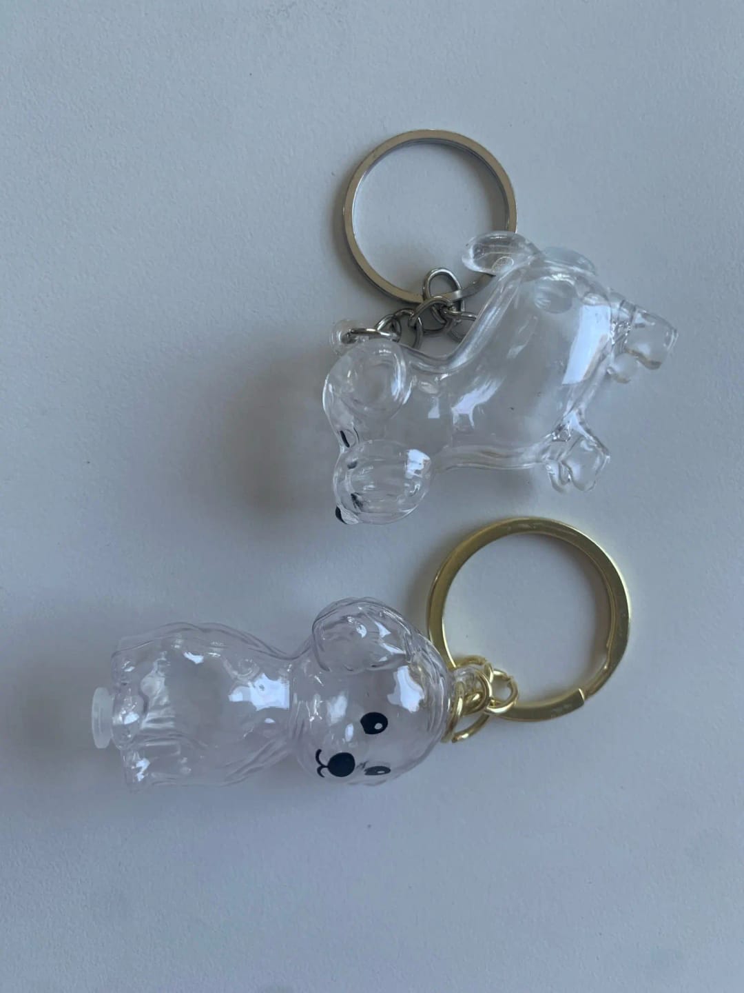 Customer photo review of Llavero Recuerdo de tu Mascota