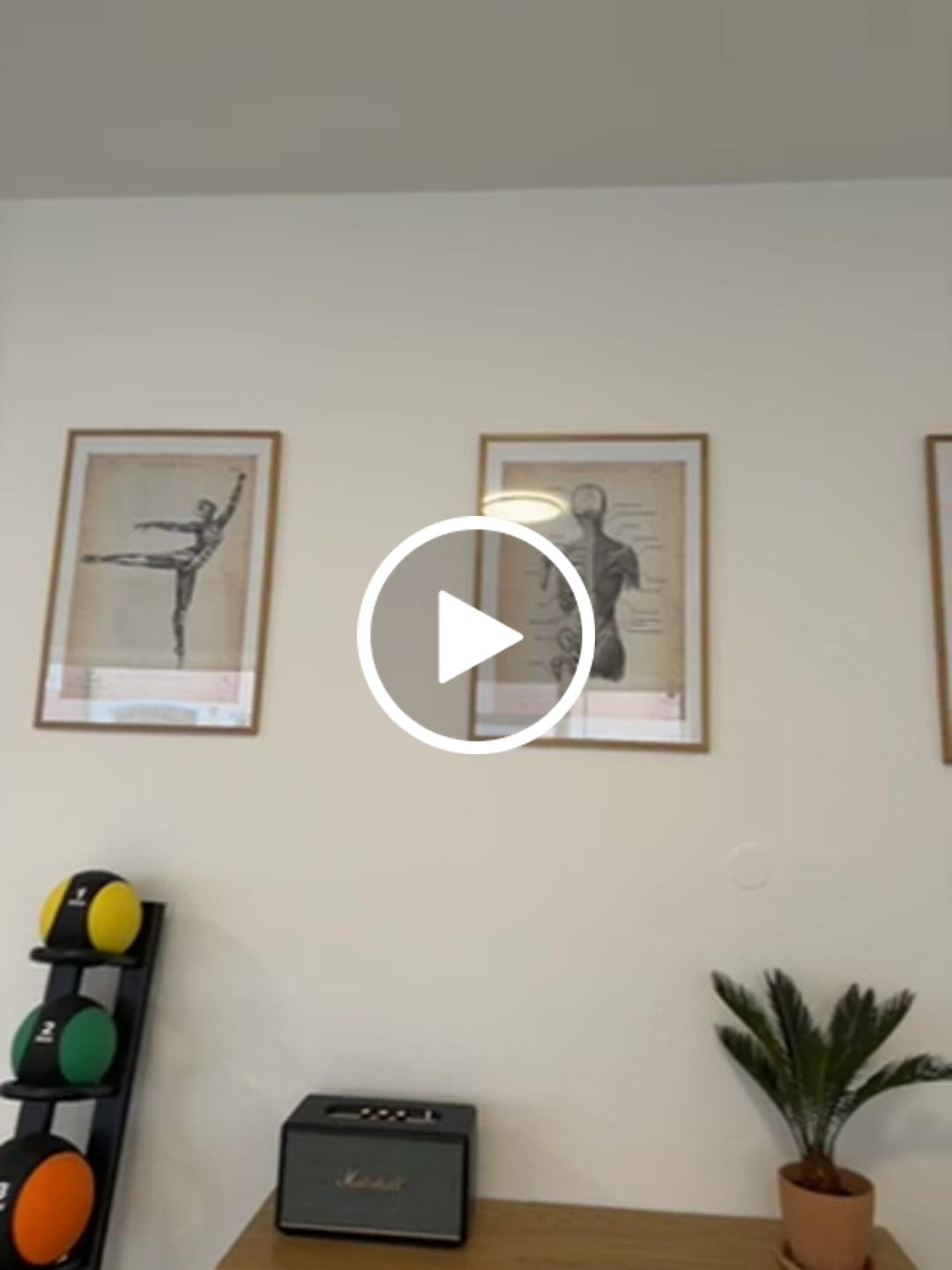 Customer video review of Ballett Anatomie Poster