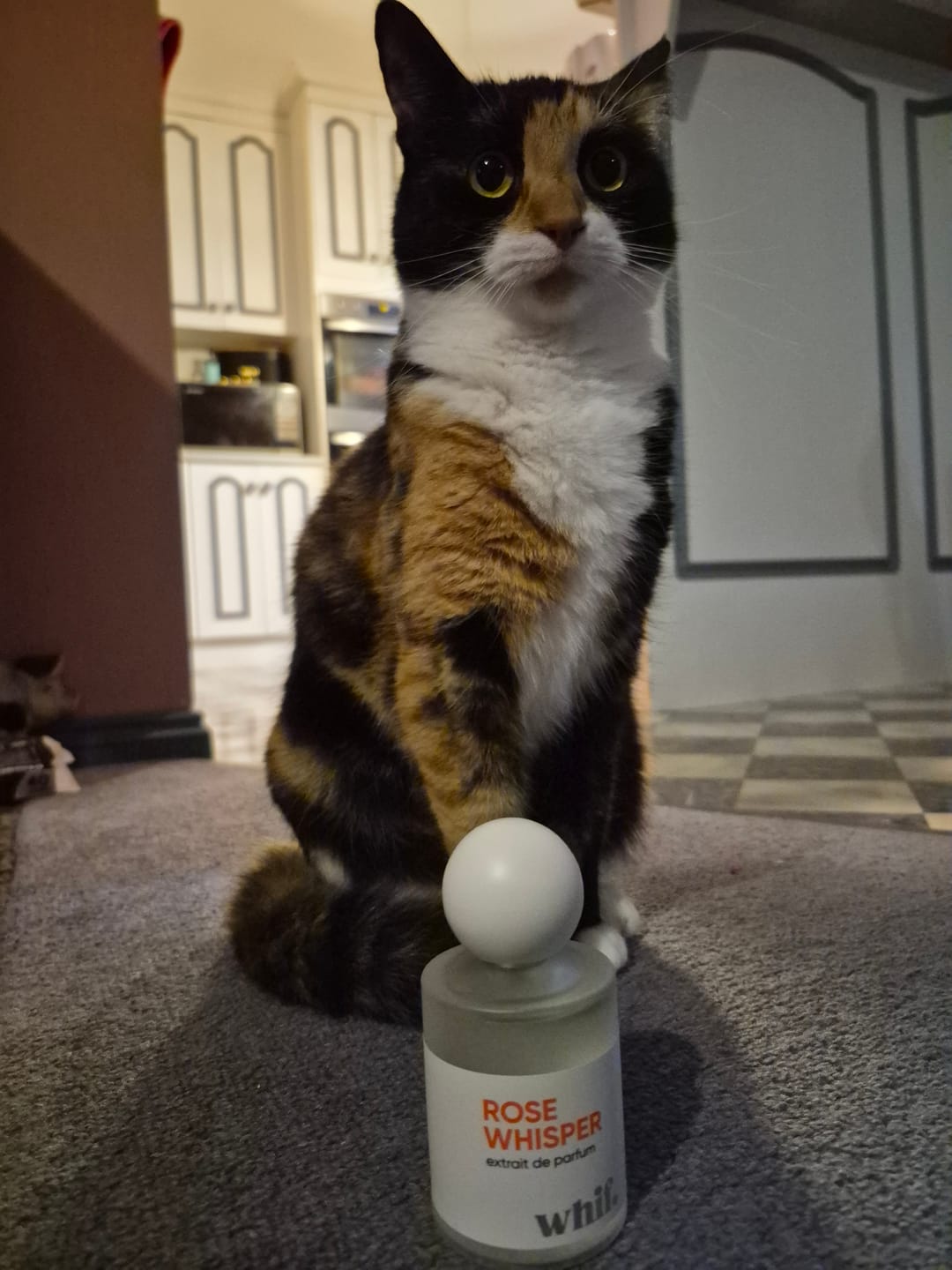 Customer photo review of Rose Whisper