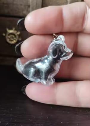 Customer photo review of Llavero Recuerdo de tu Mascota