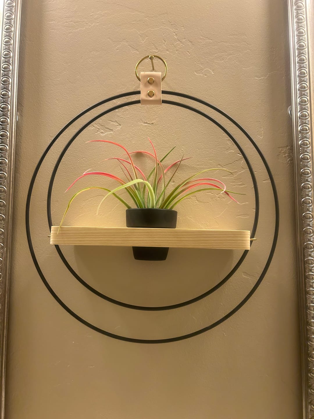 Customer photo review of Air Plant Shelf + Pot