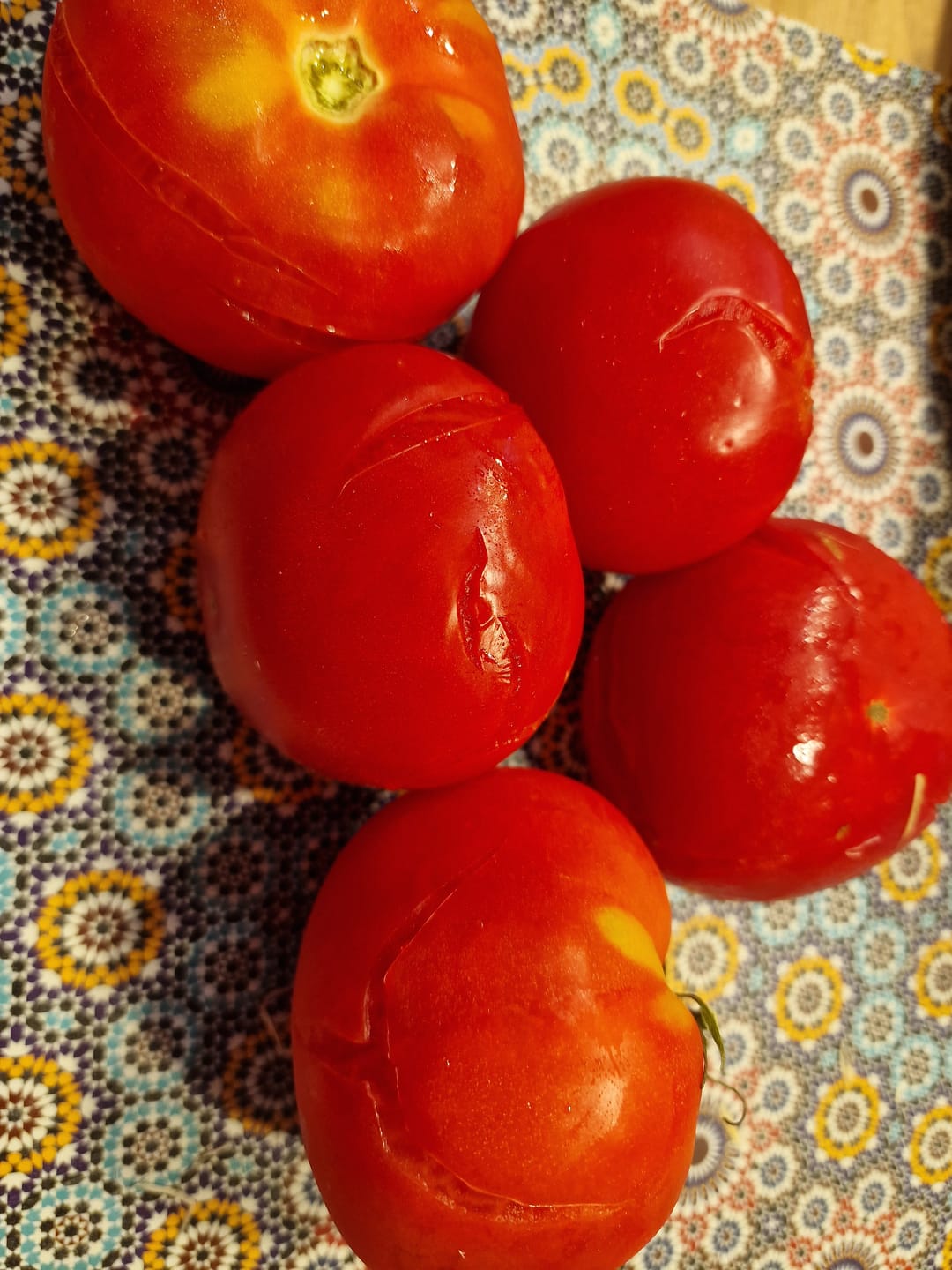 Customer photo review of Tomaten Mix von Julian Box 3kg Aktionswoche %