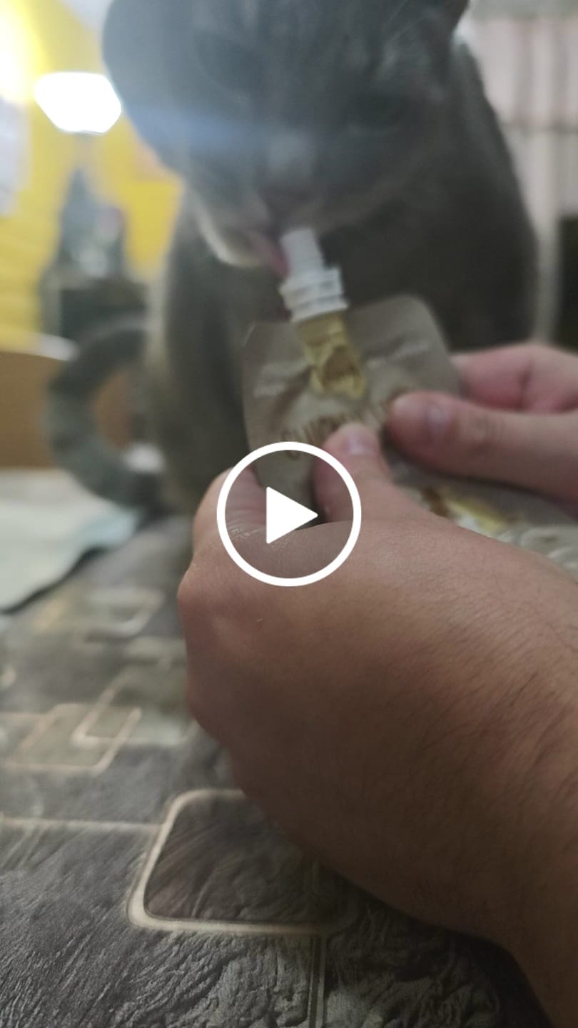 Customer video review of Chicken Fiesta Gatos