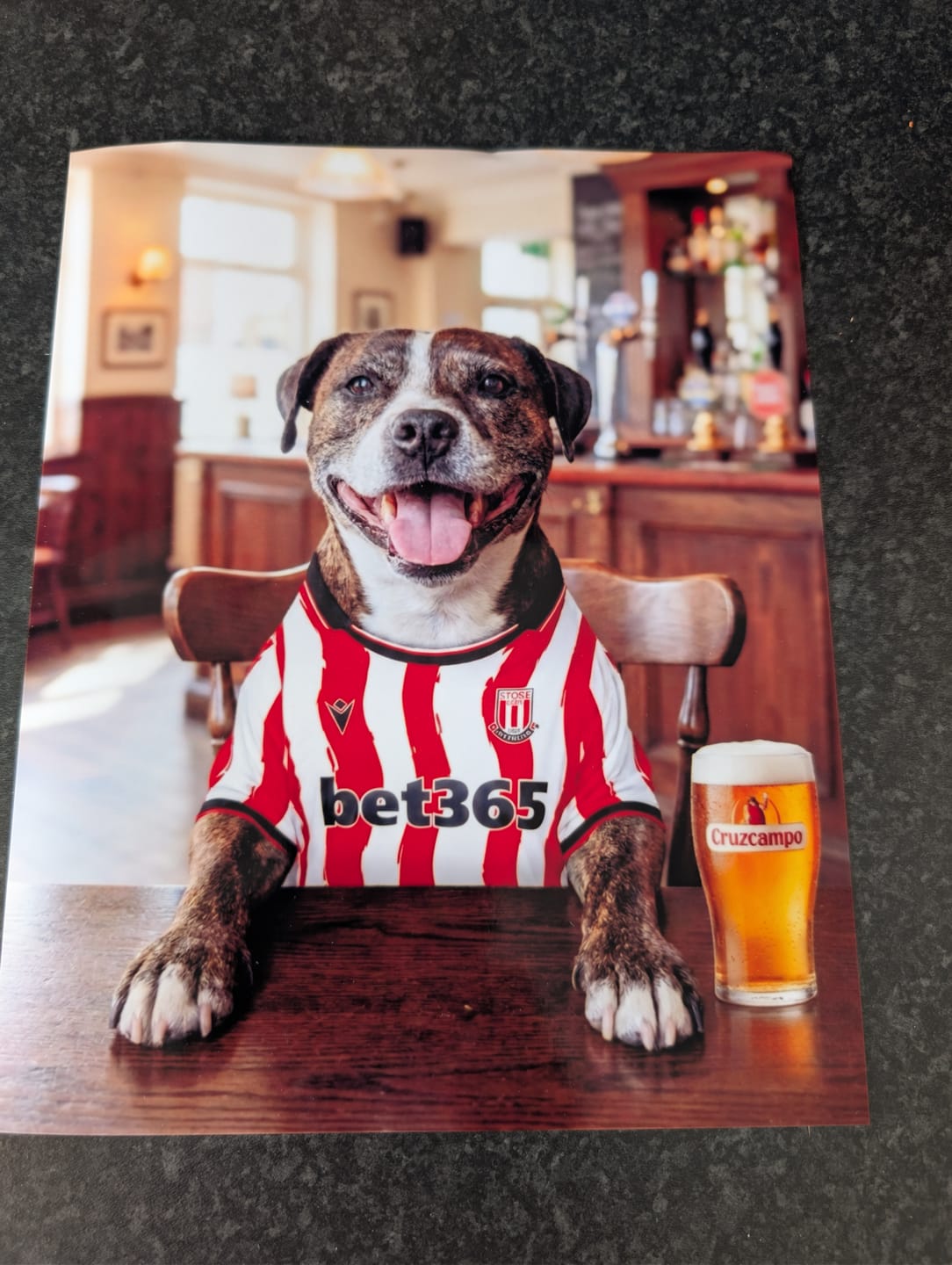 Customer photo review of Personalised Dog/Cat Football Image
