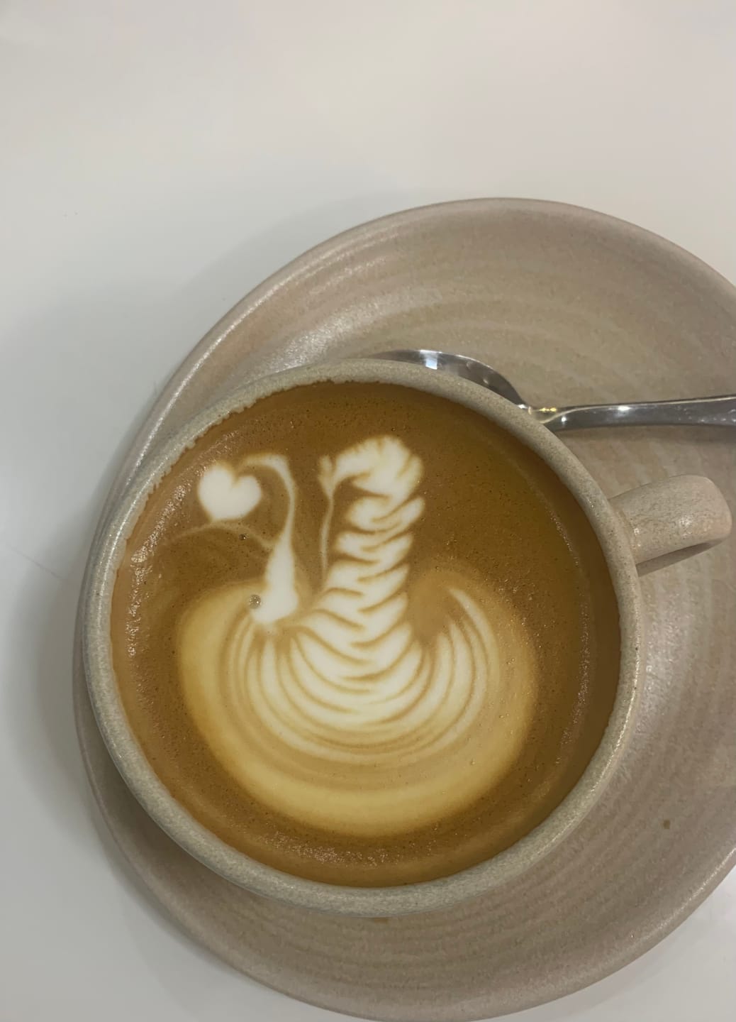 Customer photo review of BARISTA