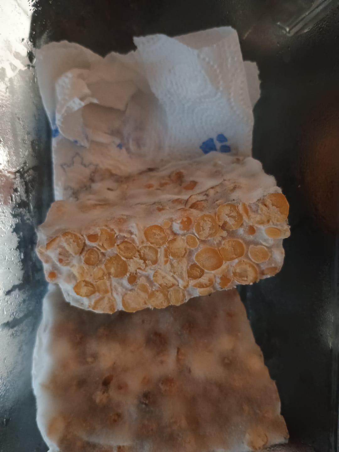 Customer photo review of BIO Tempeh Starterkultur