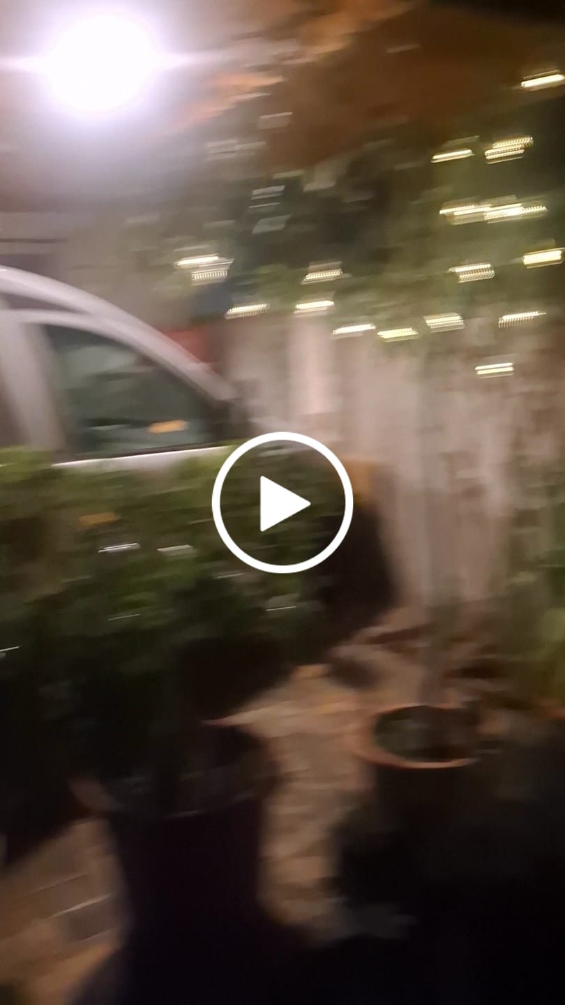 Customer video review of Guirnalda de Colibrís Solares - Largo 3 m / Luz Cálida o Multicolor / IP65