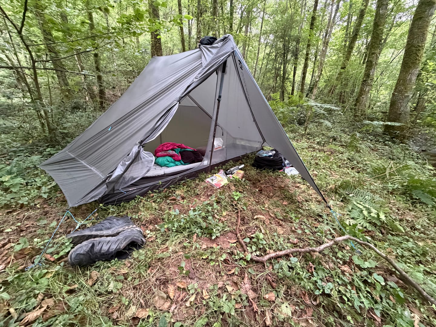 Customer photo review of The One