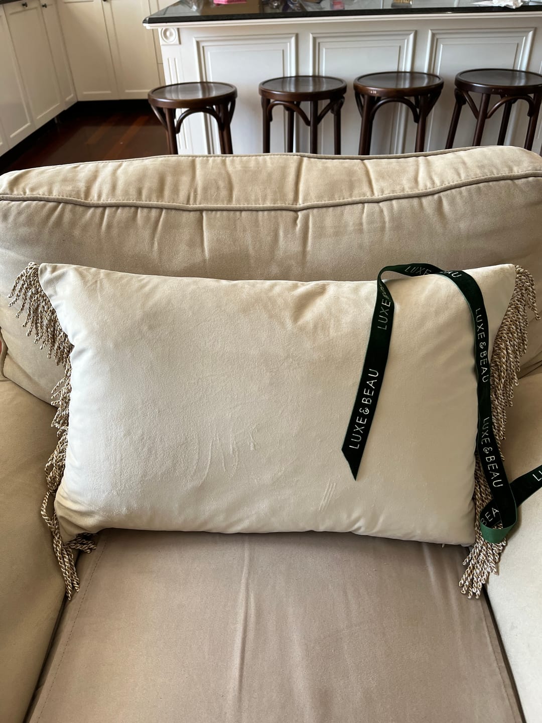 Customer photo review of Bullion Fringe Le Beige Velvet Cushion Cover 40x60cm