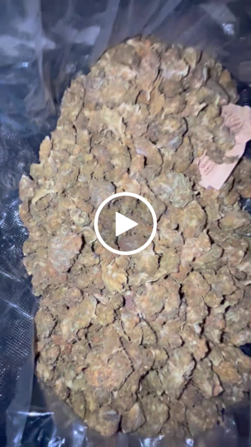 Customer video review of Butterscotch OG - Bulk - Indica