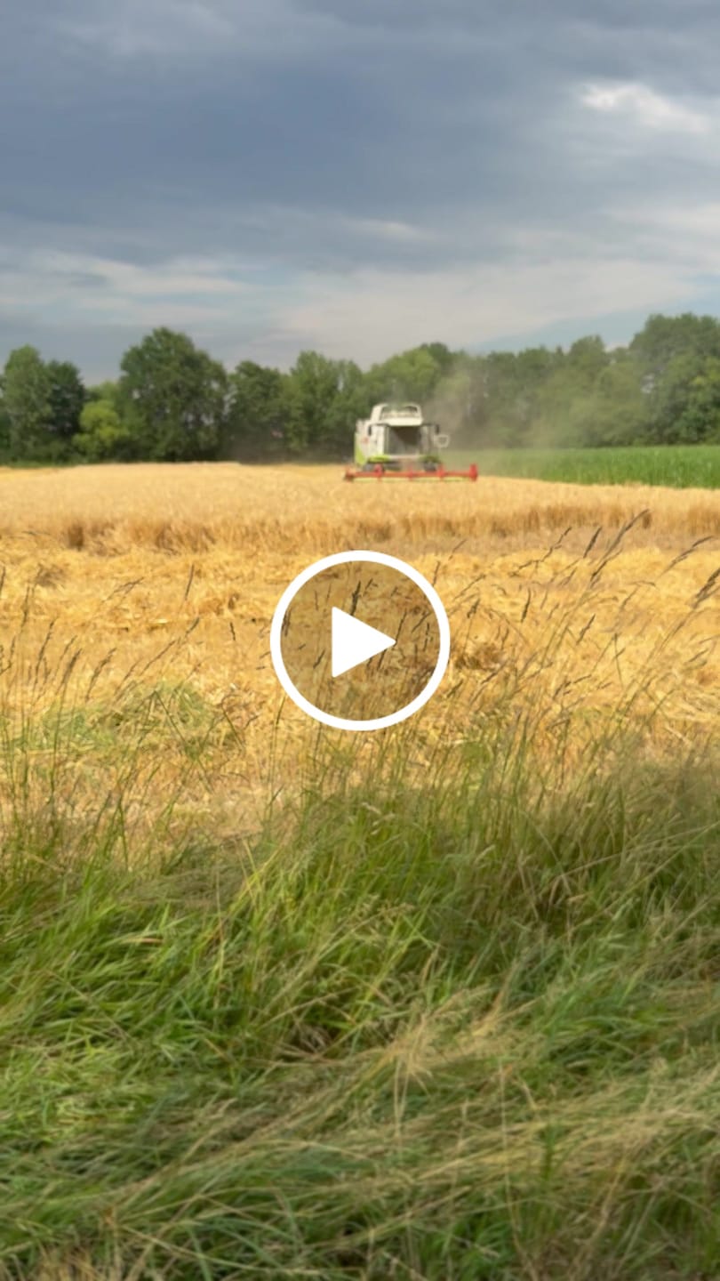 Customer video review of Casquette - Agriculteur Français Noir