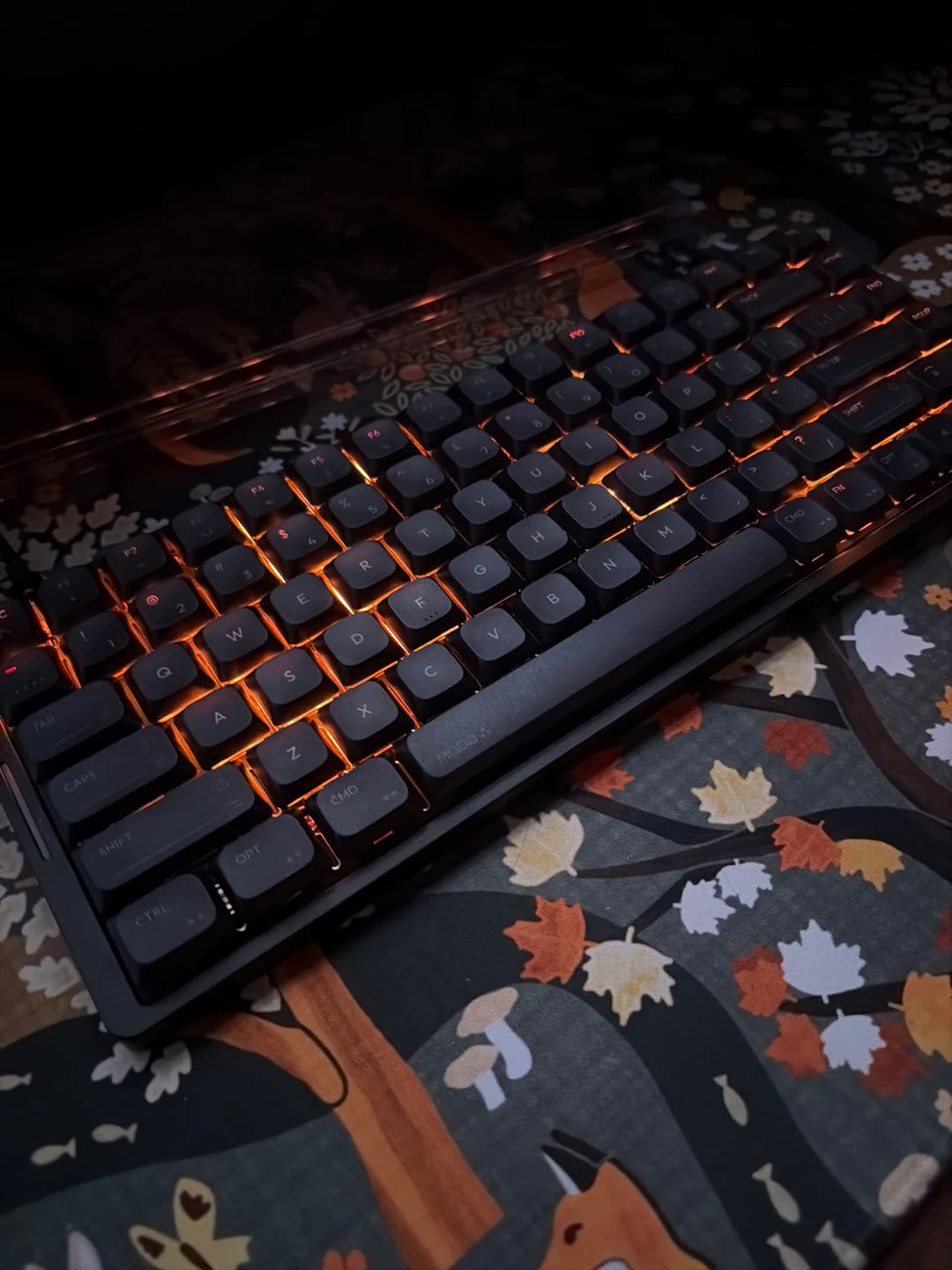 Customer photo review of IQUNIX MQ80 Aluminum Low Profile Mechanical Keyboard