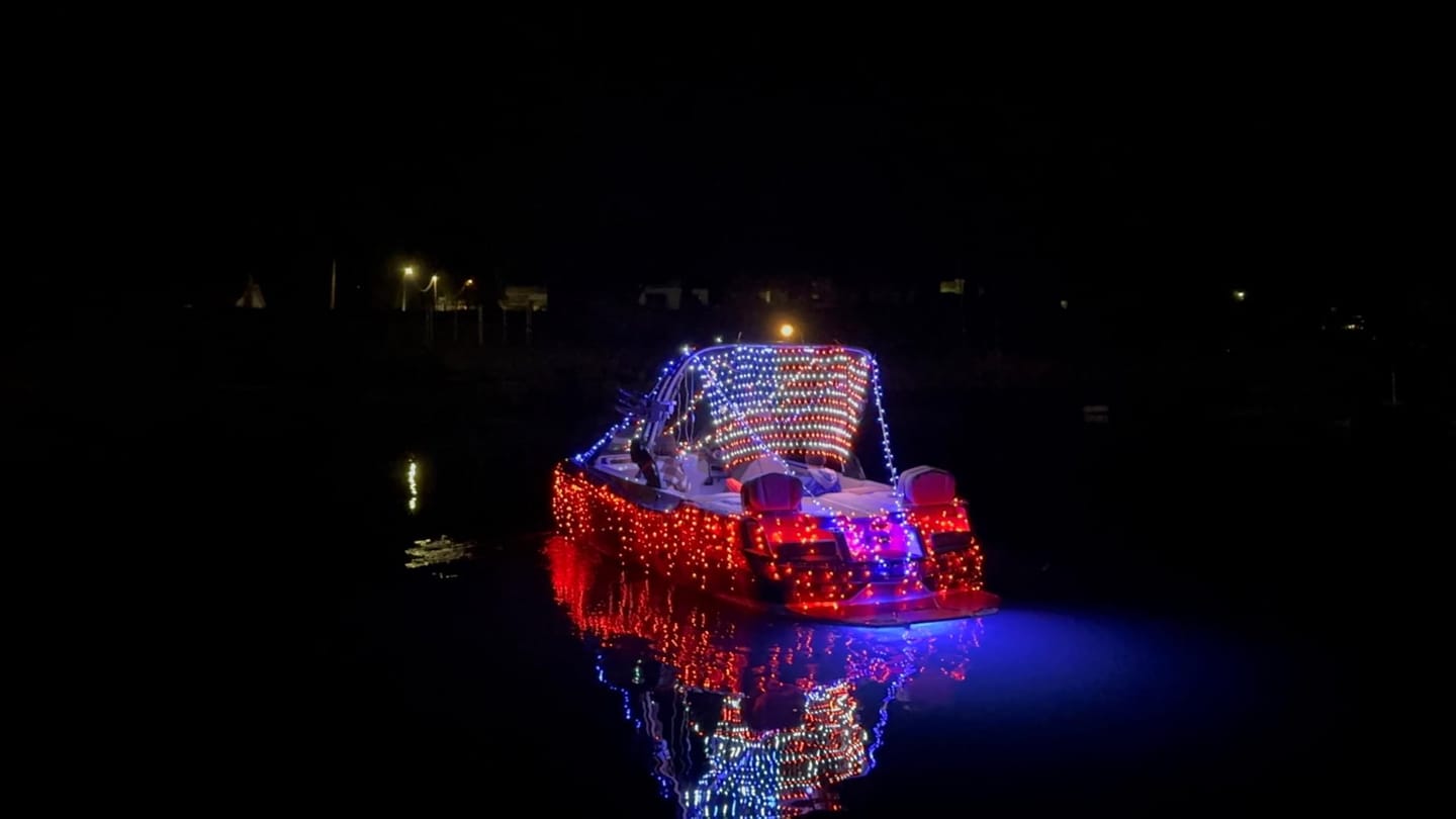 Customer photo review of Custom Solar-Powered National Flag Net Lights - Commemorative and Fun Outdoor Decorations