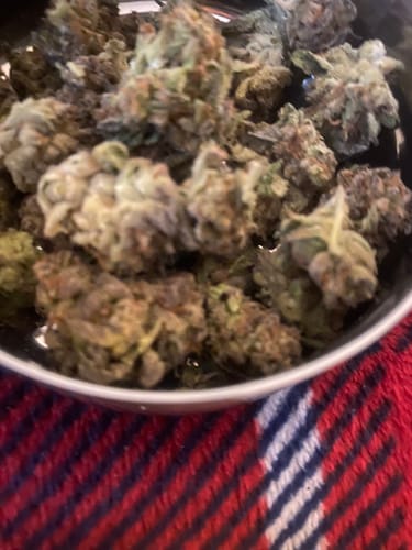 Customer photo review of GDP THCA Flower