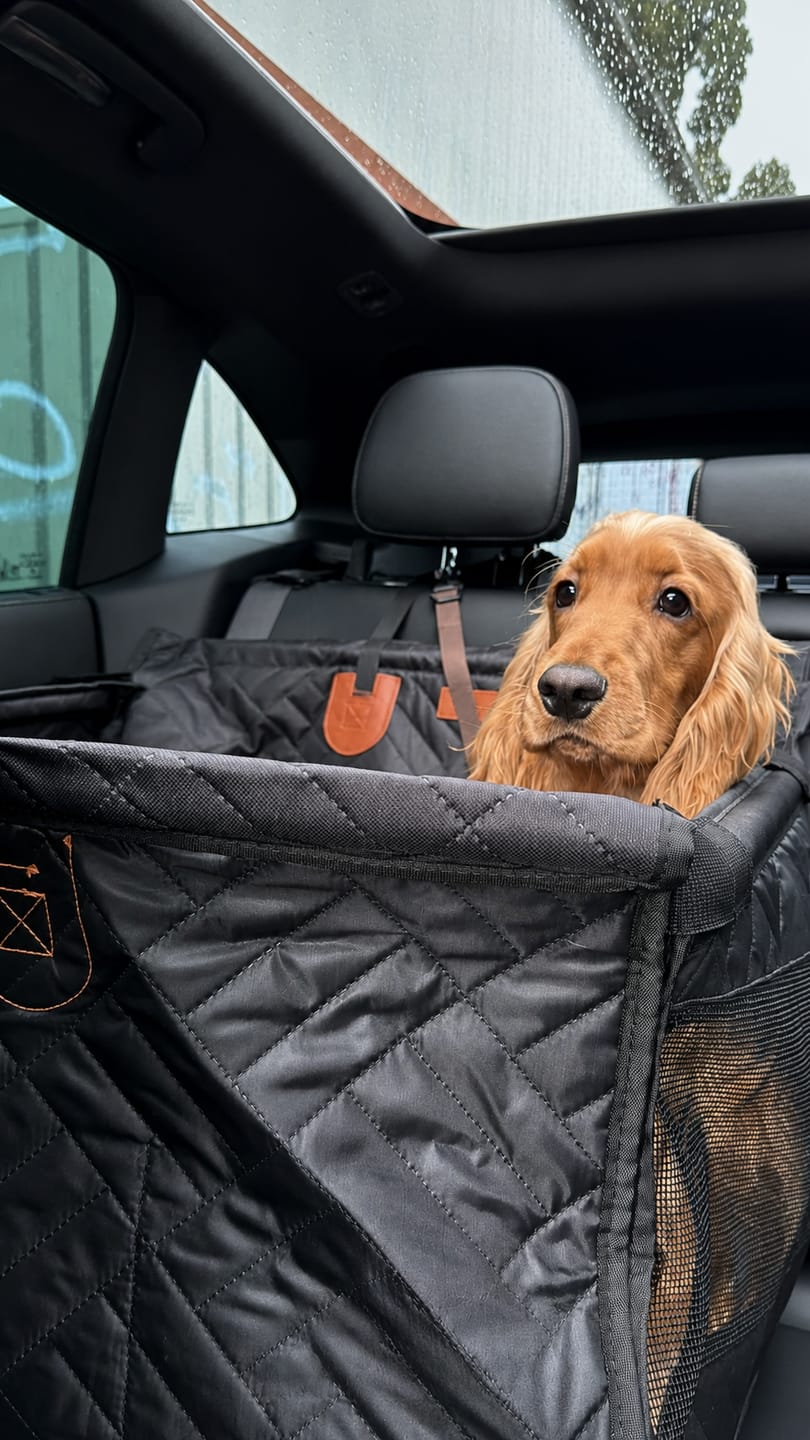 Customer photo review of Marlo&Co™ Single Travel Seat