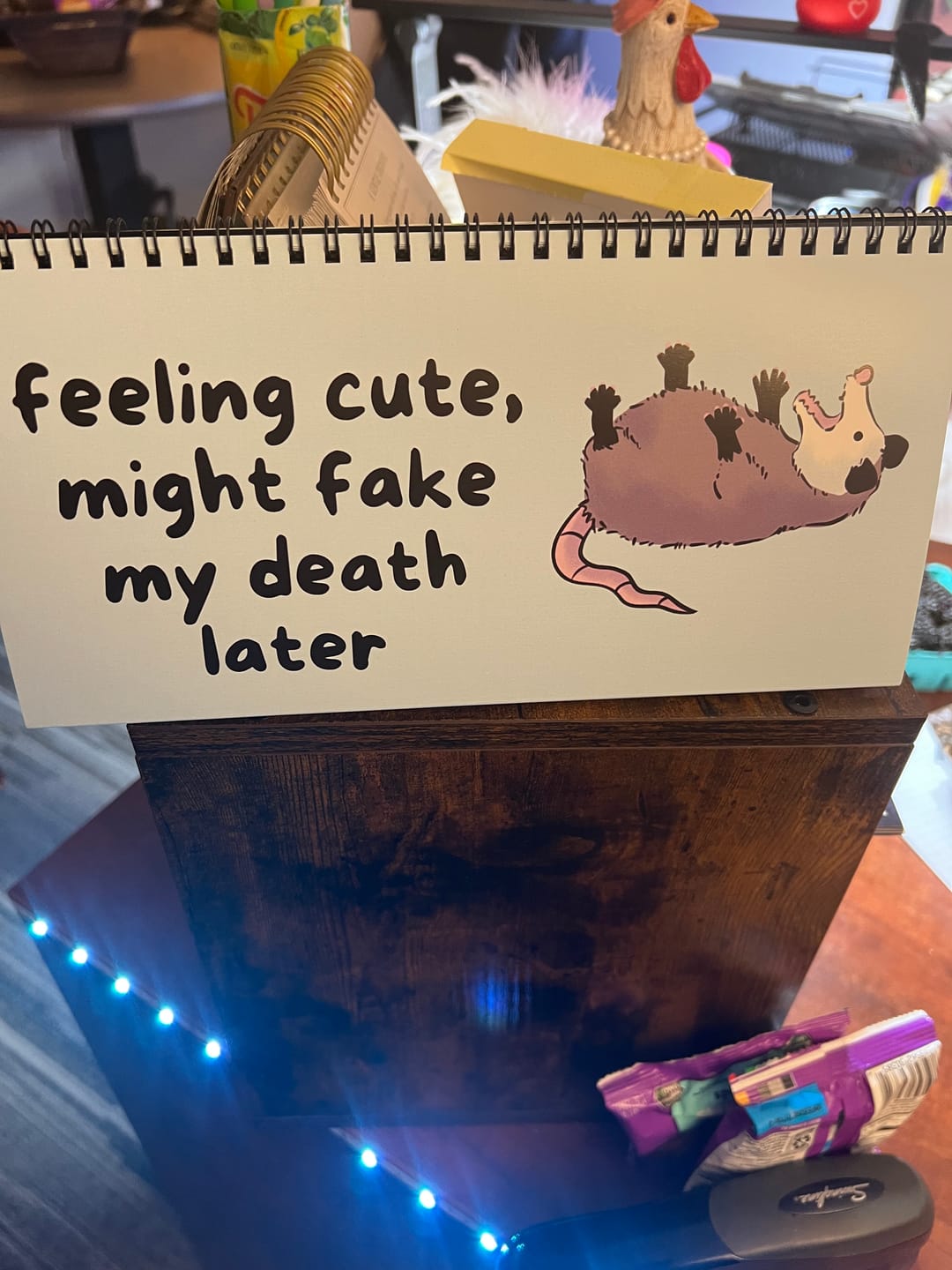 Customer photo review of Opossums At Work Desk Sign