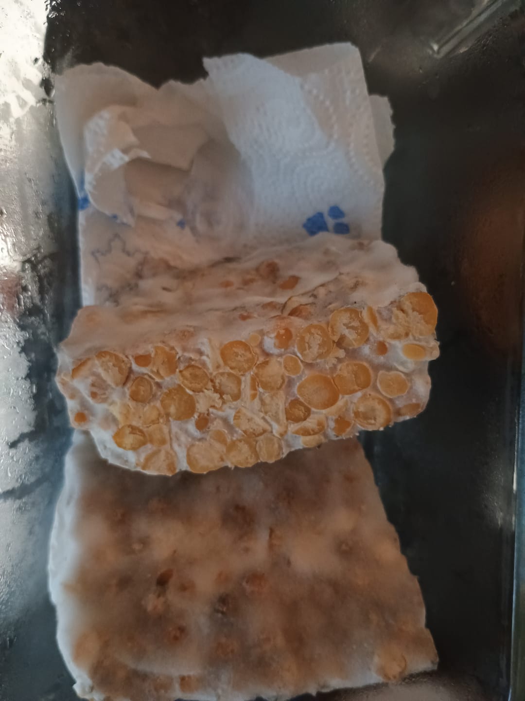 Customer photo review of BIO Tempeh Starterkultur