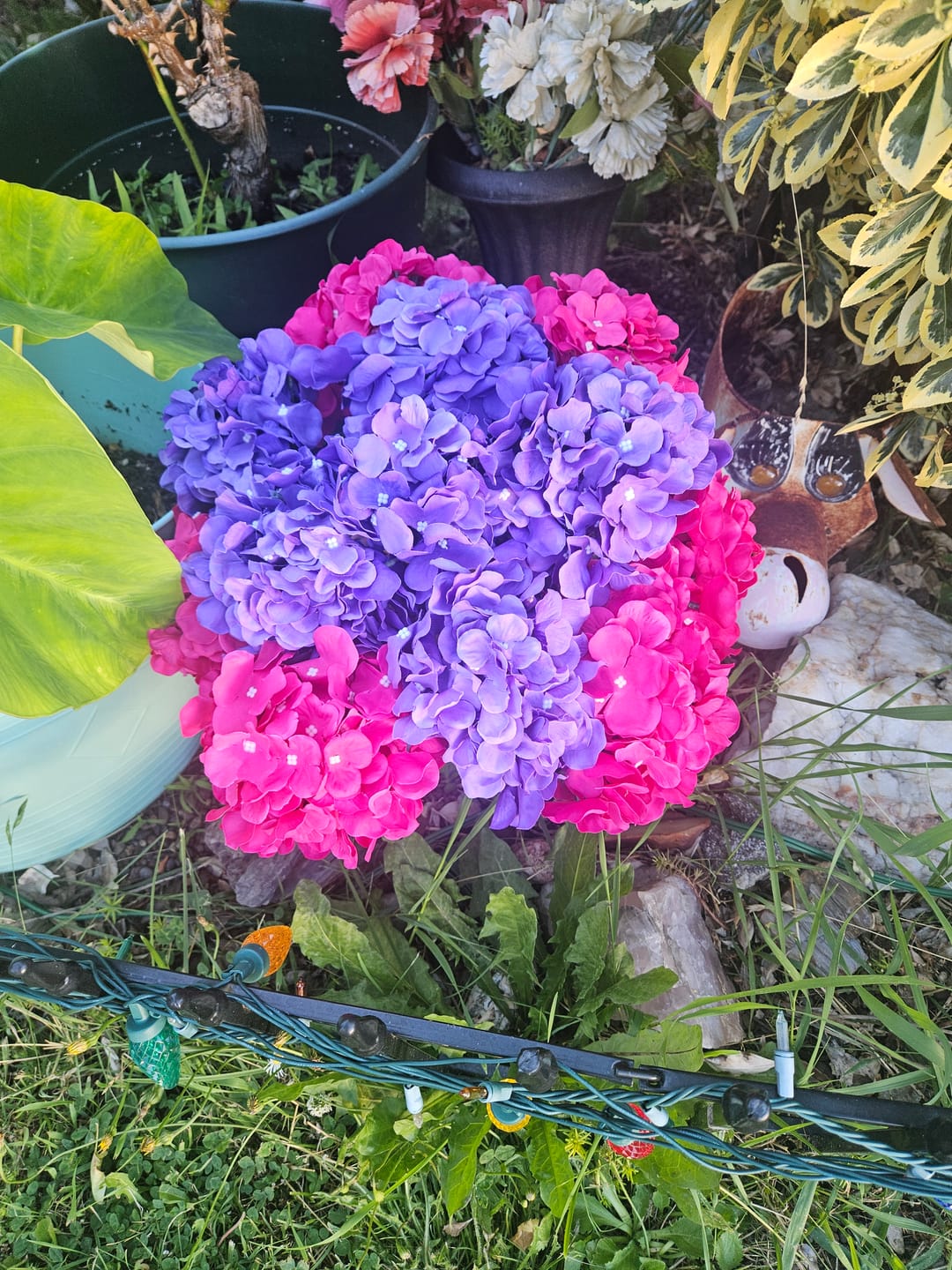 Customer photo review of Clearance Sale! Wholesale 26 - Color Silk Hydrangeas with Detachable Stems for DIY Floral Arrangements