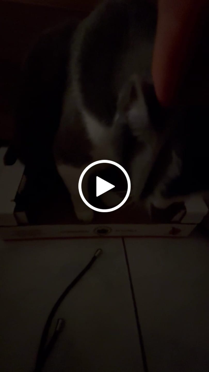 Customer video review of Pettine a denti medi o mini comb 13,5