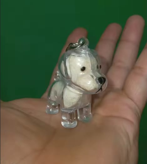 Customer photo review of Llavero Recuerdo de tu Mascota