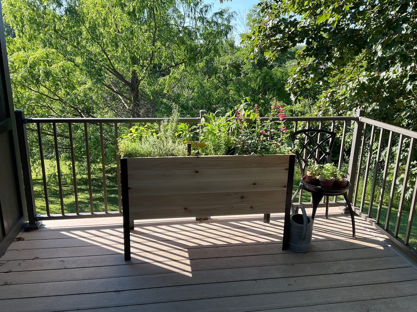Customer photo review of 18″ x 48″ Deep Root Raised Garden Bed - 30″ TALL / Garden Grade