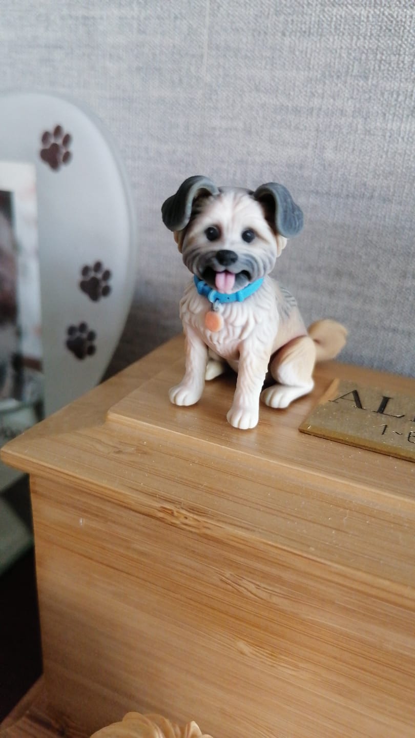 Customer photo review of DoDoWish Gift Box (Free Gift)
