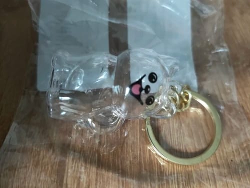 Customer photo review of Llavero Recuerdo de tu Mascota