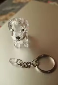 Customer photo review of Llavero Recuerdo de tu Mascota
