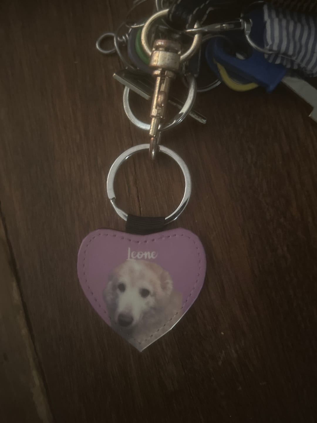 Customer photo review of Ritratto animale domestico - Portachiavi personalizzato