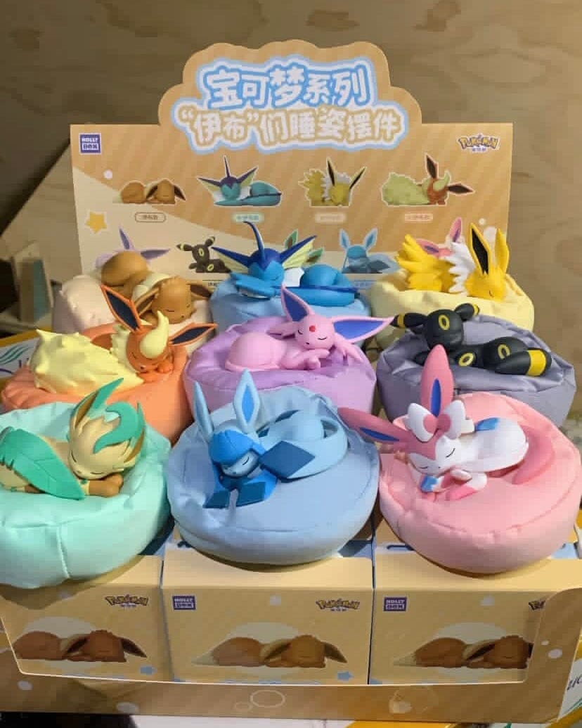 Customer photo review of Pokémon: Sleepy Eeveelutions Series