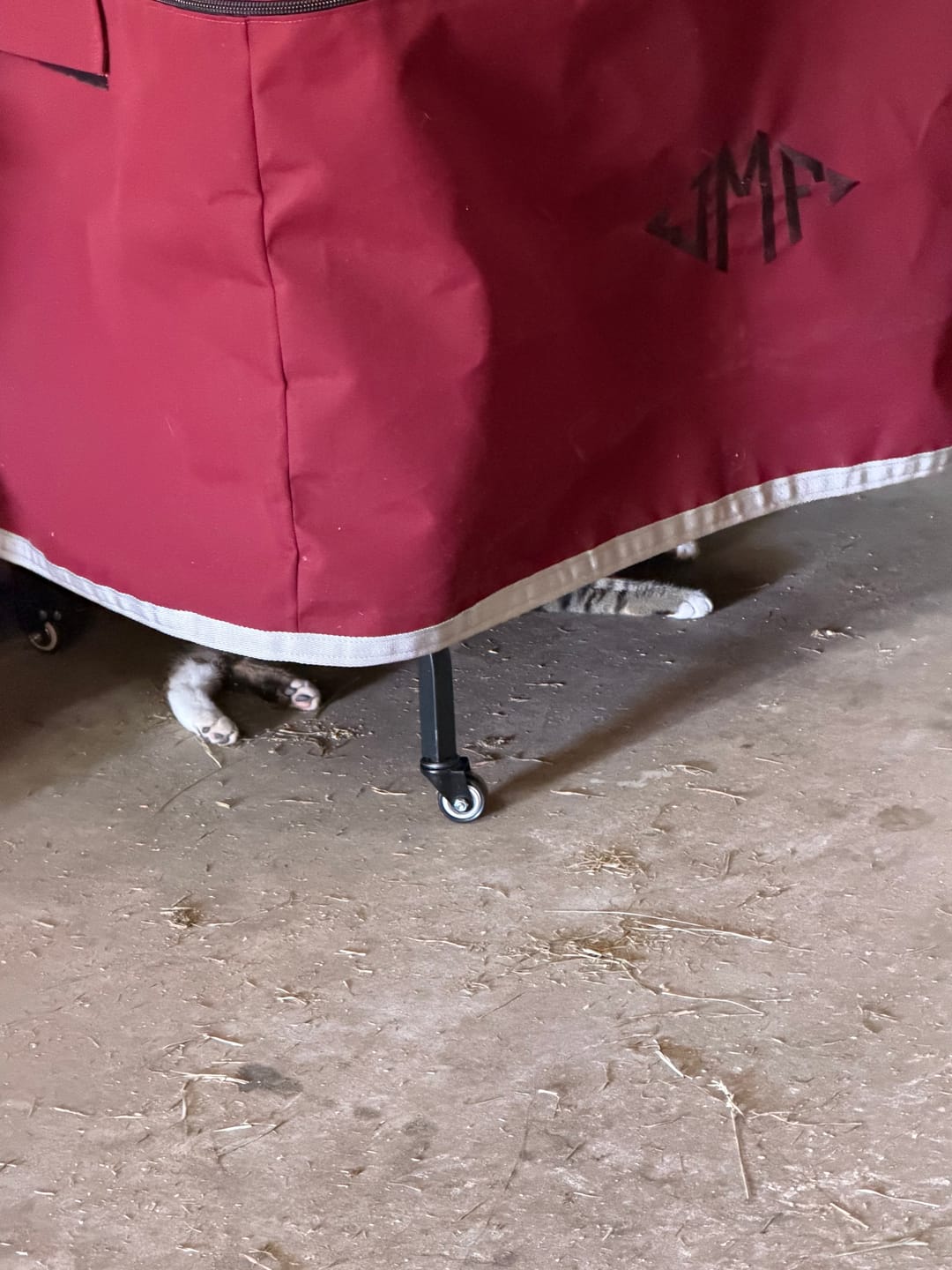 Customer photo review of Custom Tack Trunk Cover - For Any Standard Size Trunk