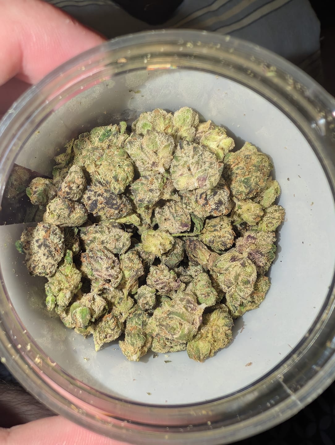 Customer photo review of Boutique Exotics - Lemon Dior - Minis - 14 Grams - Hybrid
