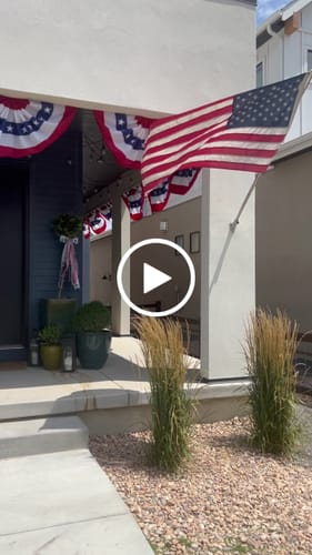 Customer video review of Patriotic Chinoiserie