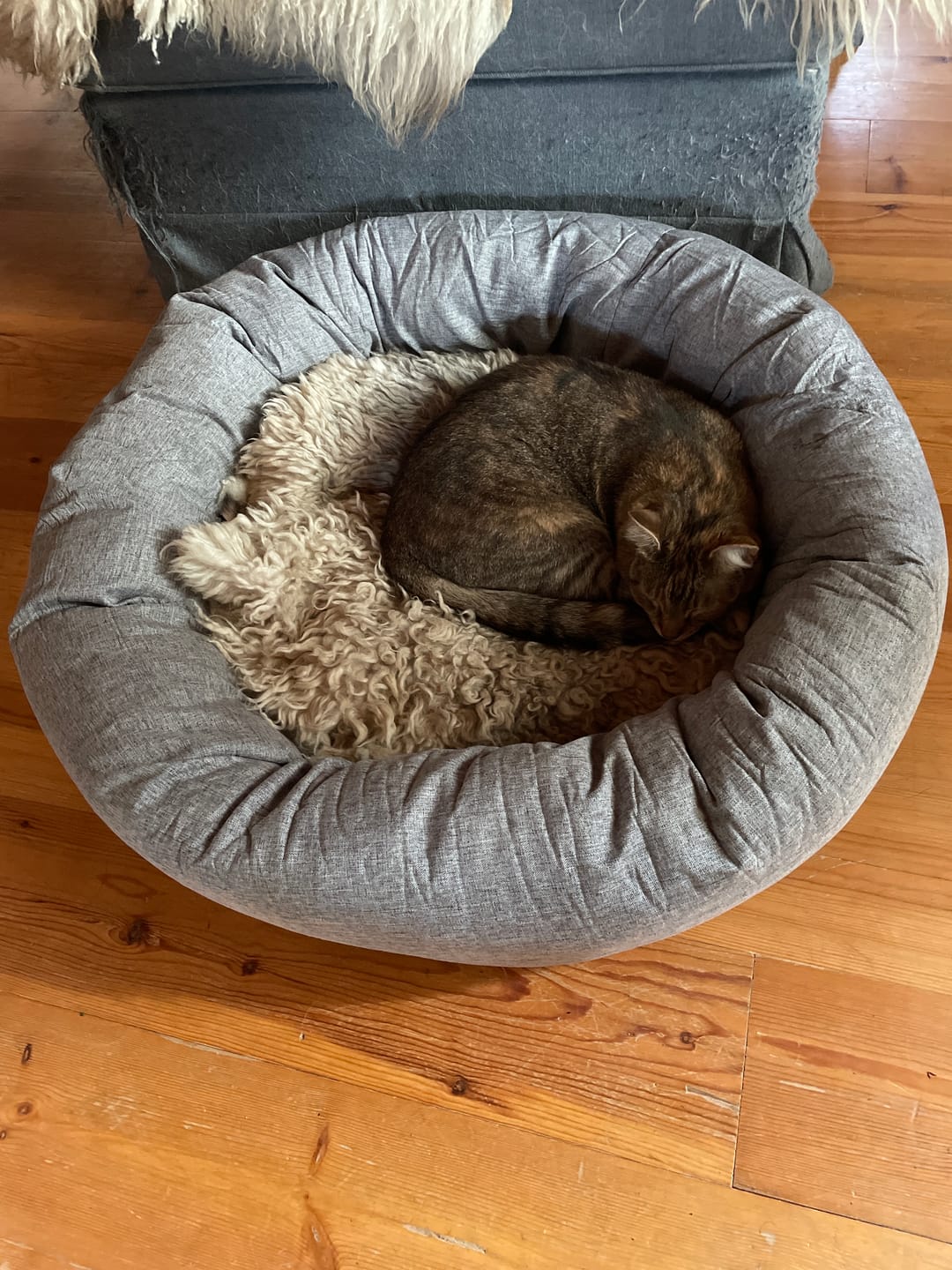 Customer photo review of CalmBed överdrag