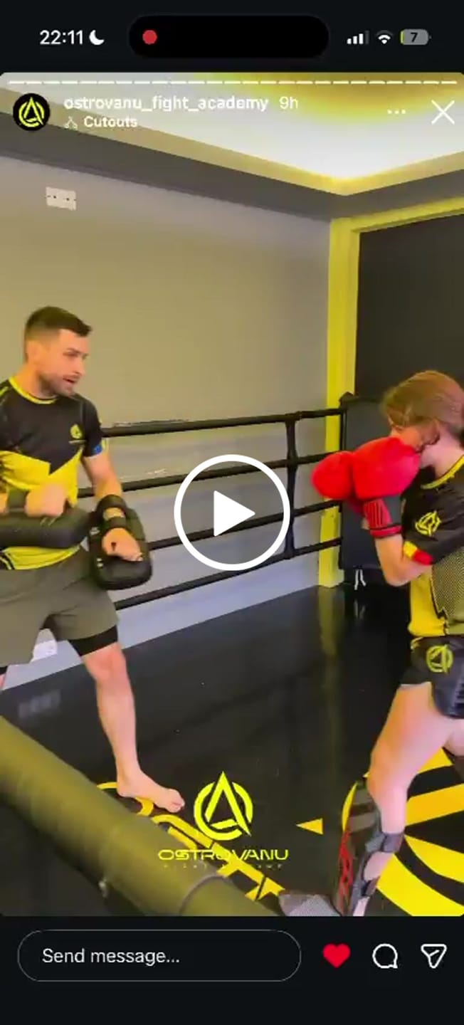 Customer video review of Tibiere Kickbox Knockout Webman FX