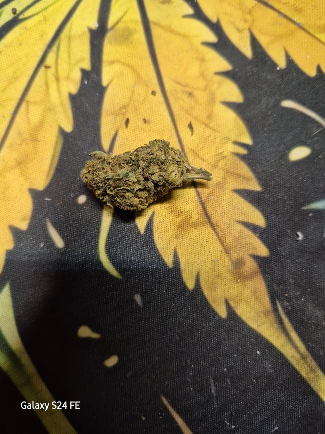 Customer photo review of Bubba Kush - 28 Grams - Indica