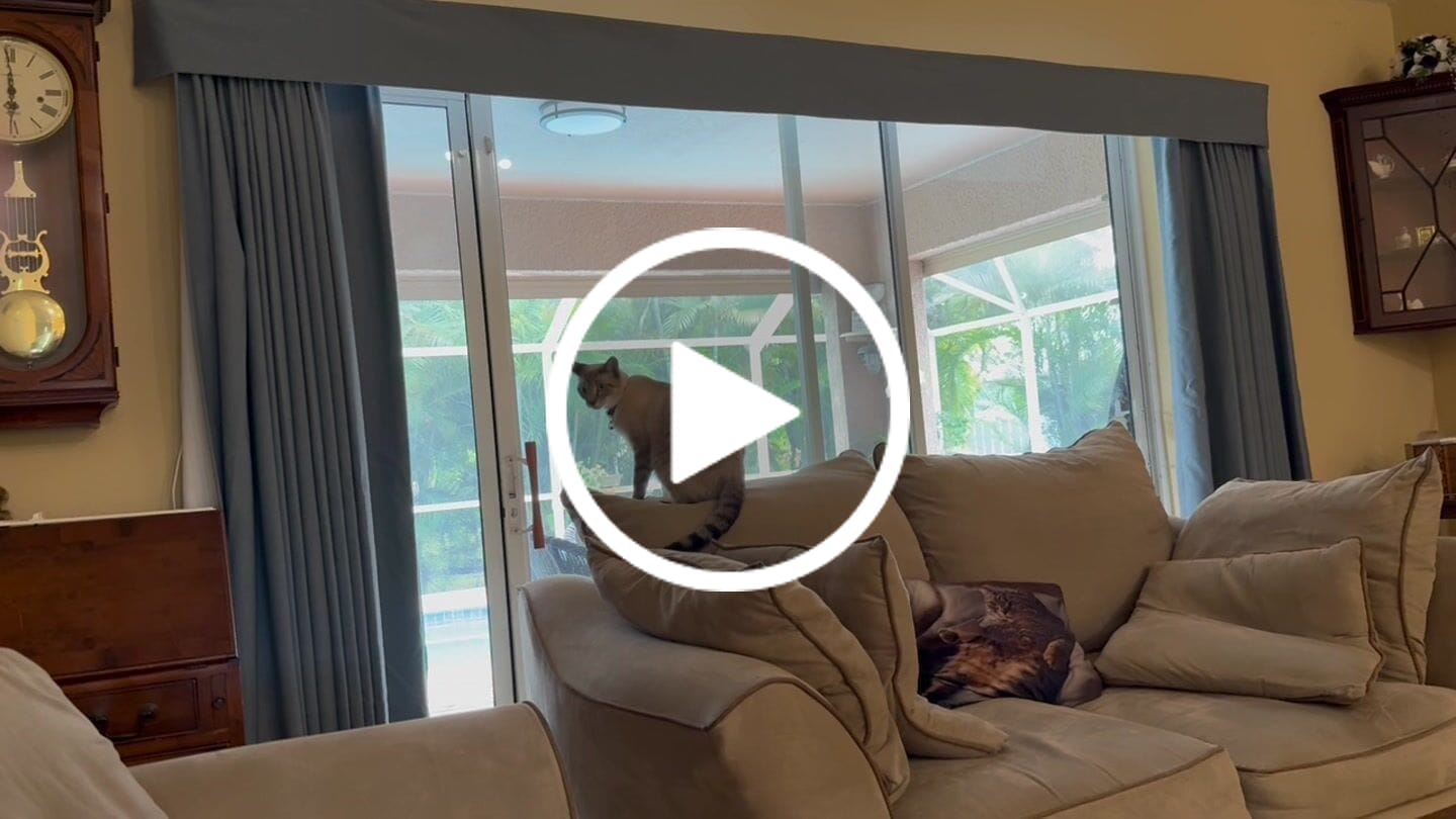 Customer video review of SmartWings Motorized Drapery 90%/100% Blackout
